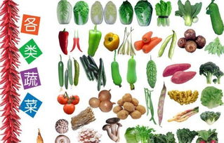 佛山放心食材配送 新鮮蔬菜、肉禽、凍品與副食品批發(fā)服務(wù)