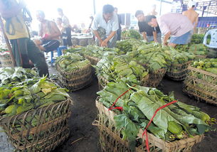 建綠色通道穩(wěn)菜價(jià) 市長(zhǎng)致電求援陜西省長(zhǎng)，保障新鮮蔬菜批發(fā)供應(yīng)