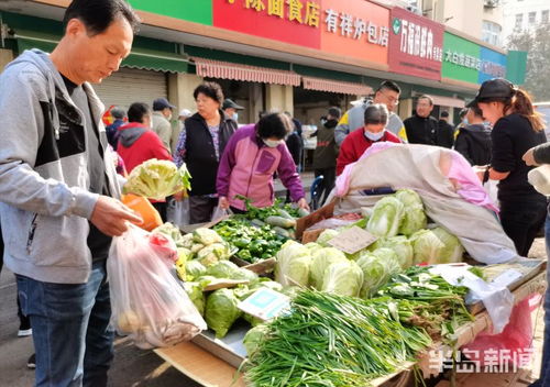西鎮早市秋菜上市 新鮮蔬菜批發受熱捧
