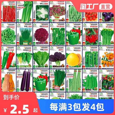 家庭種植新風(fēng)尚 以1.5元的價(jià)格開(kāi)啟你的四季菜園