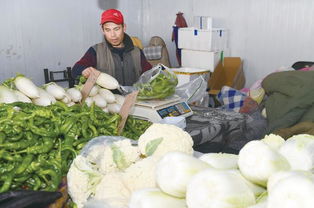 走市場(chǎng)，探探市民的菜籃子 新鮮蔬菜批發(fā)的溫度與變遷