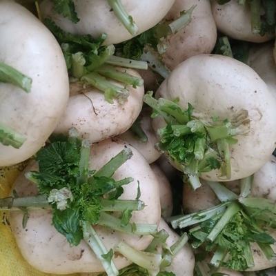 山東臨沂蘭山區(qū)優(yōu)質(zhì)盤(pán)菜批發(fā)，溫州新鮮盤(pán)菜5斤裝僅32元/件